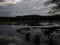 wetlands